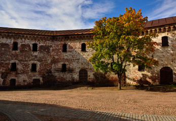 Tree in fortress