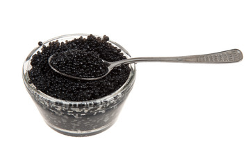Fototapeta na wymiar black caviar and spoon, isolated on white