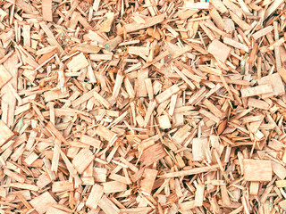 Bark wood chips background. Natural color pieces of wood splinters, backcloth