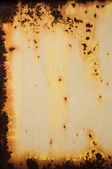 yellow rust texture