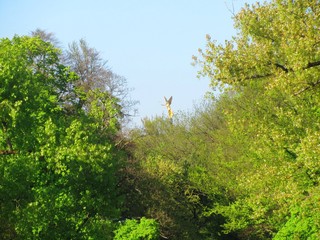 Blick vom Englischen Garten auf den Friedensengel, München, Bayern