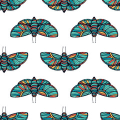 Colorful butterfly seamless vector background
