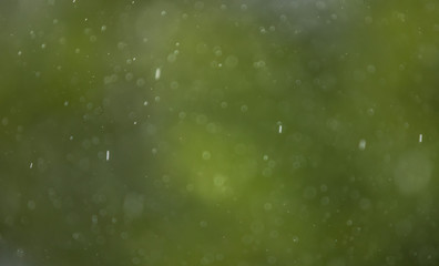 heavy rain and green bokeh background,