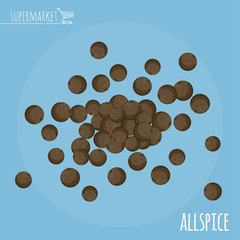 Allspice flat design vector icon