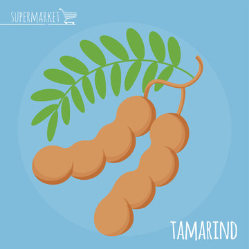 Tamarind flat design vector icon