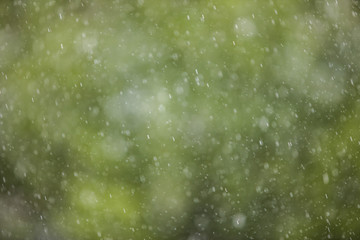 heavy rain and green bokeh background,