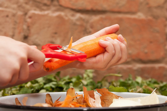 Child is peeling the carrot for cooking on the brick background