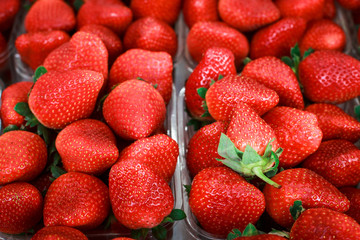 Red fresh ripe strawberries