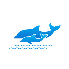 two dolphins