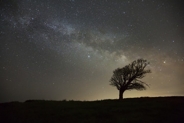 Fototapeta na wymiar Milky Way with alone old tree on the hill