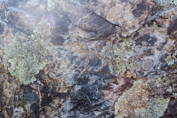 motley a big stone with light green light green moss close-up texture