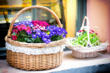 Fototapeta na wymiar Baskets of flowers