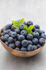 Fresh blueberries natural coconut in a bowl on a gray background.