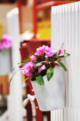 Red flowers in a decorative bucket .