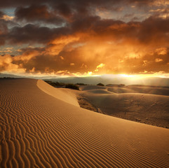 Fototapeta na wymiar Wavy sand dune at sunset on background dramatic sky clouds