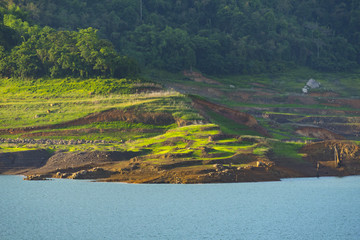 Fototapeta premium the tropical forest layers, Thailand