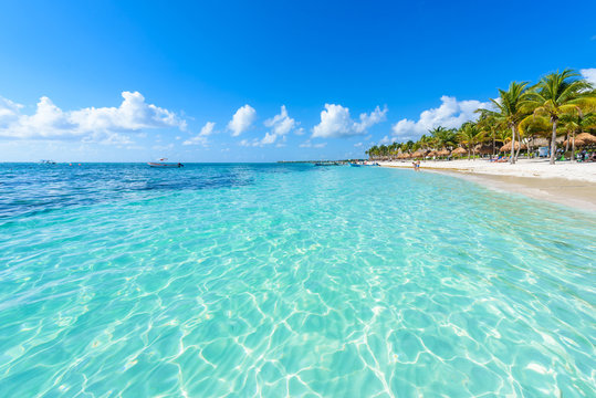 Fototapeta Riviera Maya - paradise beaches in Quintana Roo, Cancun - Caribbean coast of Mexico