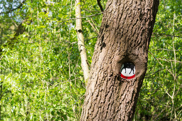 Reiten im Hülser Bruch