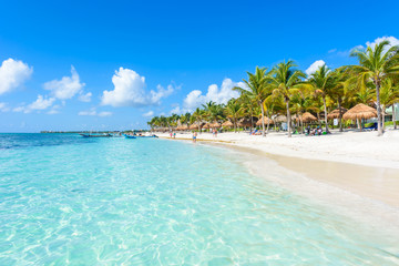 Fototapeta na wymiar Akumal beach - paradise bay Beach in Quintana Roo, Mexiko - caribbean coast