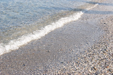  Sea beach, sea in a calm, small wave, seashells