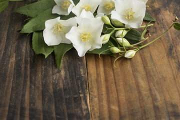 Jasmin with Copy Space on Rustic Wooden Background