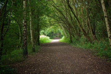 Obraz premium Light in path