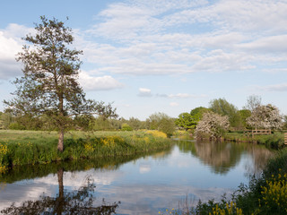 an incredible river running through the country location and landscape outside in the country with reflections in the lake and lots of colour on a summer afternoon in essex uk england and no people