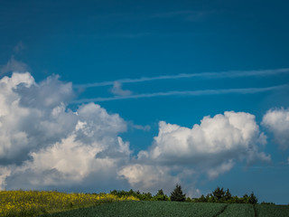 Ackerbau im Frühjahr