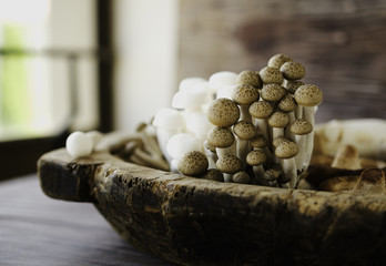 white and brown Chinese mushrooms on a wooden background, selective focus