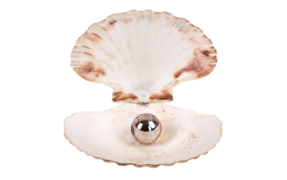 Open seashell with pearl on white isolated background