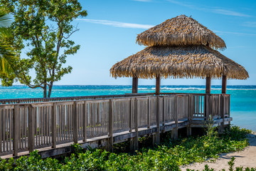 Fototapeta premium Ocean View