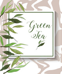 Vector green tea banner with tea leaves on white backgroud. Design for packaging, tea shop, drink menu, homeopathy and health care products.