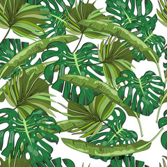 Seamless vector pattern of hand drawn palm and banana leaves. Tropical background.