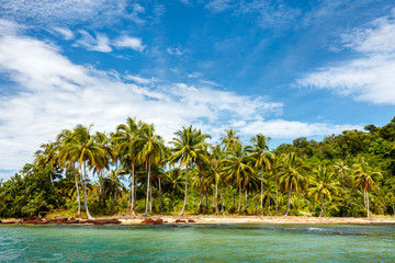 Obraz premium Tropical Paradise