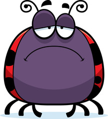 Sad Little Ladybug
