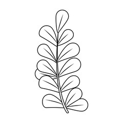 leaf or leaves icon image vector illustration design  single black line