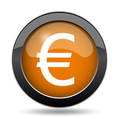 Euro icon