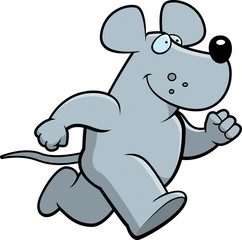 Rat Running