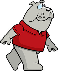 Bulldog Walking