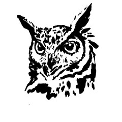 owl head