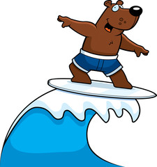 Bear Surfing