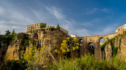 Obraz premium New bridge of Ronda, located on the Tajo de Ronda. Throat excavated by the Rio Guadalevín.