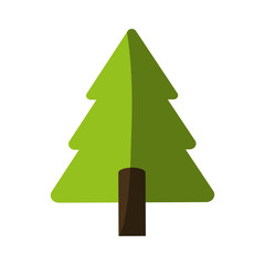 Fototapeta premium pine tree icon image vector illustration design 