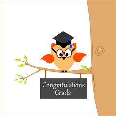 An owl on a branch of a tree with a graduation cap and text