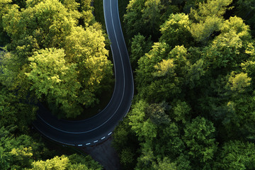 Straße zwischen großen Bäumen von oben mit Drohnenluftbild, Landschaft