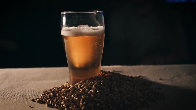 Dolly shot of Glass of Beer and a handful of Wheat. Softly glowing glass of beer surrounded by a handful of ripe wheat.