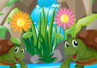 Two turtles by the waterfall