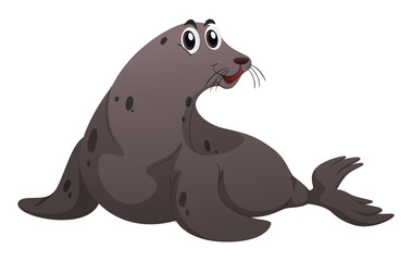 Gray seal on white background