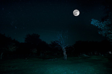 Mountain Road through the forest on a full moon night. Scenic night landscape of dark blue sky with moon. Azerbaijan. Long shutter photo