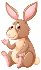 Rabbit with brown fur
